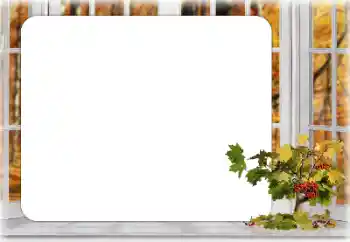 Efekt zdjęciowy z kategorii Jesień № 167899