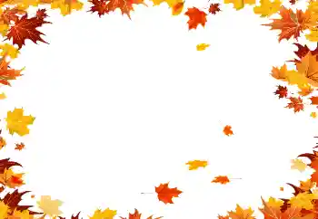 Efekt zdjęciowy z kategorii Jesień № 190559