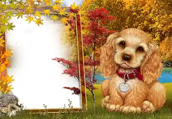 Efekt zdjęciowy z kategorii Jesień № 190594