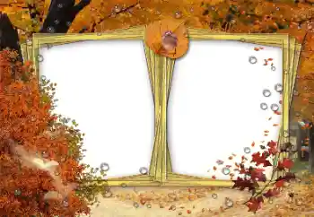 Efekt zdjęciowy z kategorii Jesień № 191691