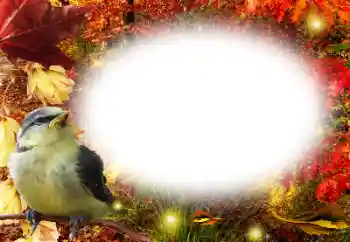 Efekt zdjęciowy z kategorii Jesień № 191761