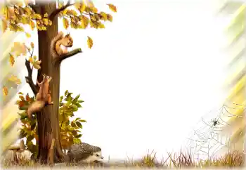 Efekt zdjęciowy z kategorii Jesień № 196642 Efekt zdjęciowy z kategorii Jesień № 196642