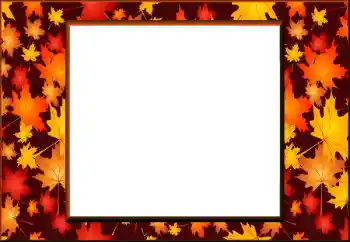 Efekt zdjęciowy z kategorii Jesień № 198908