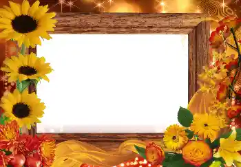 Efekt zdjęciowy z kategorii Jesień № 2013