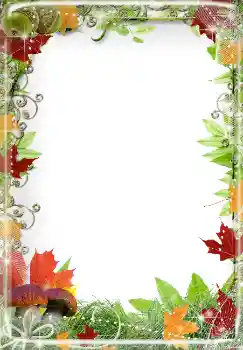 Efekt zdjęciowy z kategorii Jesień № 2014