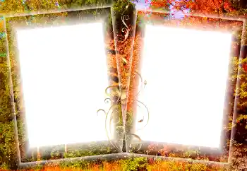 Efekt zdjęciowy z kategorii Jesień № 84128