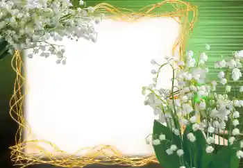 Efekt zdjęciowy z kategorii Wiosna № 113120 Efekt zdjęciowy z kategorii Wiosna № 113120