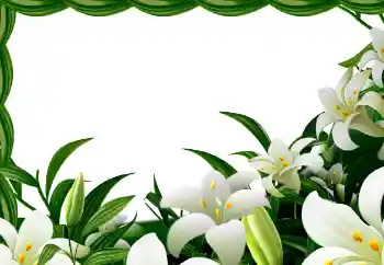 Efekt zdjęciowy z kategorii Wiosna № 113129 Efekt zdjęciowy z kategorii Wiosna № 113129