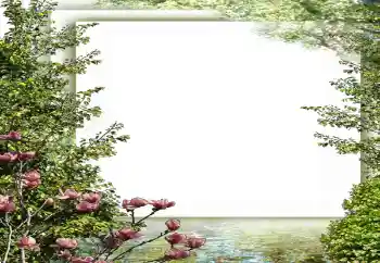 Efekt zdjęciowy z kategorii Wiosna № 149187