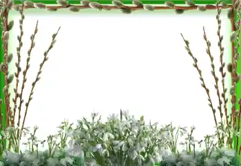 Efekt zdjęciowy z kategorii Wiosna № 197647 Efekt zdjęciowy z kategorii Wiosna № 197647