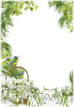 Efekt zdjęciowy z kategorii Wiosna № 205355