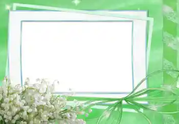 Efekt zdjęciowy z kategorii Wiosna № 33834