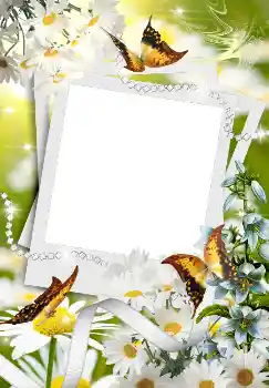 Efekt zdjęciowy z kategorii Wiosna № 4611