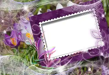 Efekt zdjęciowy z kategorii Wiosna № 4618