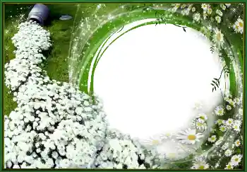 Efekt zdjęciowy z kategorii Wiosna № 4620