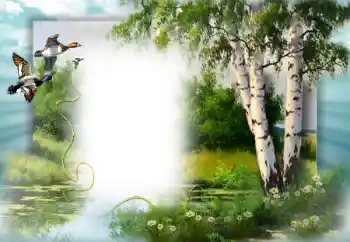 Efekt zdjęciowy z kategorii Wiosna № 49552 Efekt zdjęciowy z kategorii Wiosna № 49552