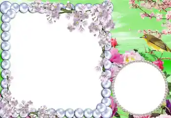 Efekt zdjęciowy z kategorii Wiosna № 5511