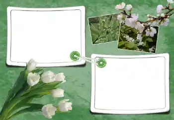 Efekt zdjęciowy z kategorii Wiosna № 93095