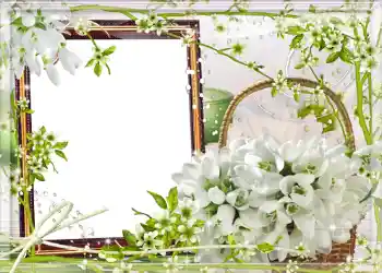 Efekt zdjęciowy z kategorii Wiosna № 980