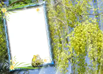 Efekt zdjęciowy z kategorii Wiosna № 981