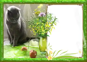 Efekt zdjęciowy z kategorii Wiosna № 982