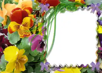 Efekt zdjęciowy z kategorii Wiosna № 983