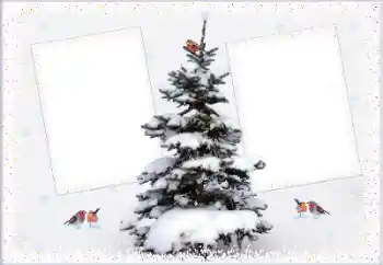 Efekt zdjęciowy z kategorii Zima № 105223