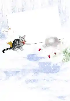 Efekt zdjęciowy z kategorii Zima № 105450