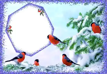 Efekt zdjęciowy z kategorii Zima № 105588