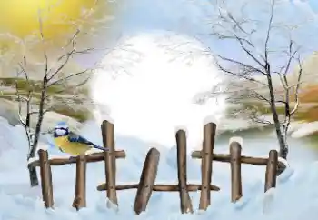 Efekt zdjęciowy z kategorii Zima № 110837