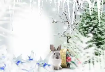 Efekt zdjęciowy z kategorii Zima № 128650 Efekt zdjęciowy z kategorii Zima № 128650