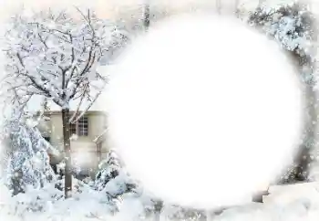 Efekt zdjęciowy z kategorii Zima № 149049