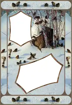 Efekt zdjęciowy z kategorii Zima № 151645 Efekt zdjęciowy z kategorii Zima № 151645