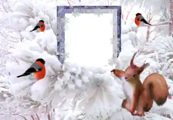 Efekt zdjęciowy z kategorii Zima № 160607 Efekt zdjęciowy z kategorii Zima № 160607