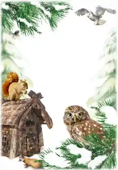 Efekt zdjęciowy z kategorii Zima № 160784 Efekt zdjęciowy z kategorii Zima № 160784