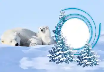 Efekt zdjęciowy z kategorii Zima № 163218