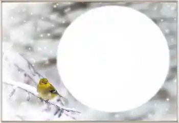 Efekt zdjęciowy z kategorii Zima № 163334