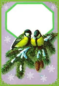 Efekt zdjęciowy z kategorii Zima № 177851