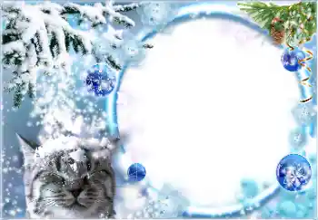 Efekt zdjęciowy z kategorii Zima № 178026