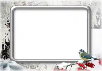 Efekt zdjęciowy z kategorii Zima № 179644