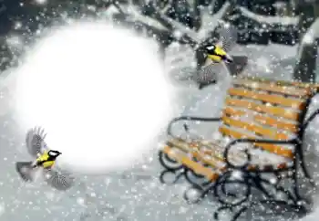 Efekt zdjęciowy z kategorii Zima № 191760