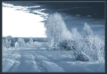 Efekt zdjęciowy z kategorii Zima № 2504