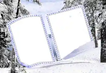 Efekt zdjęciowy z kategorii Zima № 3358