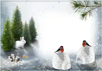 Efekt zdjęciowy z kategorii Zima № 3360