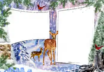 Efekt zdjęciowy z kategorii Zima № 3364