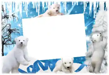 Efekt zdjęciowy z kategorii Zima № 3366