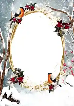 Efekt zdjęciowy z kategorii Zima № 3374