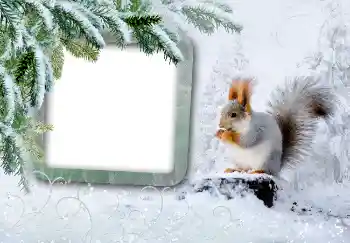 Efekt zdjęciowy z kategorii Zima № 3375