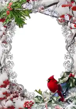 Efekt zdjęciowy z kategorii Zima № 3380