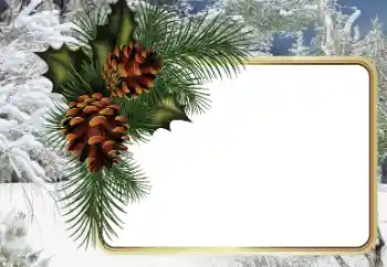 Efekt zdjęciowy z kategorii Zima № 34794